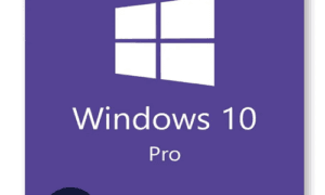 Windows 10 Professional License
